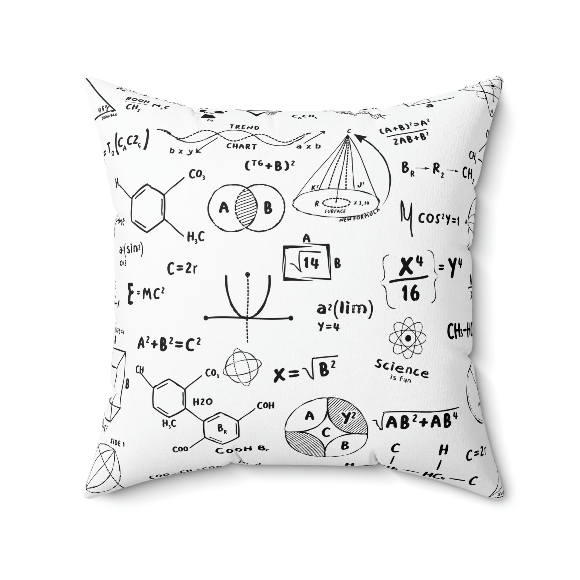 Science Pattern Black and White Outdoor Pillow